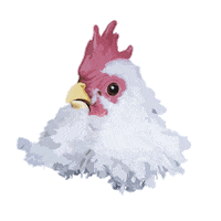 BLIIIDA coq poule gilles blida Sticker