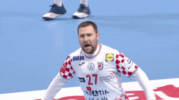 Celebration Win GIF by EHF