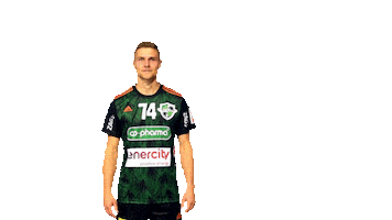 Sticker Bundesliga Sticker by DIE RECKEN