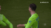 Football Sport GIF by VfL Wolfsburg