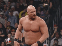 Royal Rumble Wrestling GIF by WWE