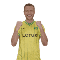Premier League Soccer Sticker by Norwich City Football Club