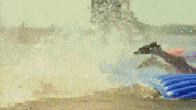 cmt GIF by Redneck Island