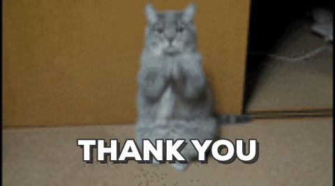 Video gif. A cat sits on its haunches and holds its paws up in a gesture of gratitude. Text, “Thank You.”
