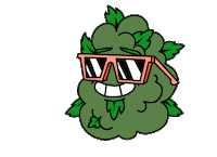 Kaind weed cbd bud kaind Sticker