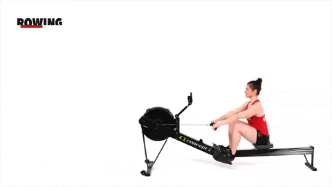 top10pulse giphyupload fitness workout rowing GIF