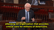 bernie sanders news GIF