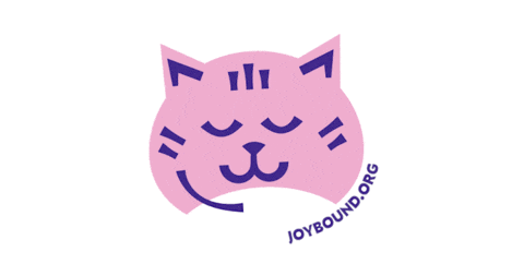 joyboundpeopleandpets giphyupload cat persian unleash happiness Sticker