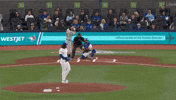 Blue Jays Baseball GIF by Toronto Blue Jays