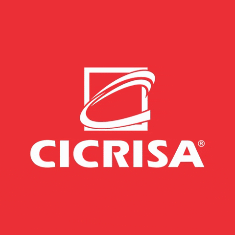 GIF by Cicrisa
