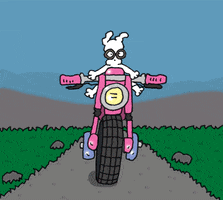Motorcycle Motocross GIF by Chippy the Dog