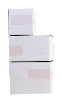 Gifts Mail Sticker by Sunday Forever