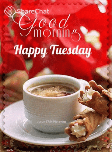 Happy Tuesday GIF by memecandy