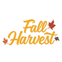 Fall Leaf Sticker by Hallmark Channel