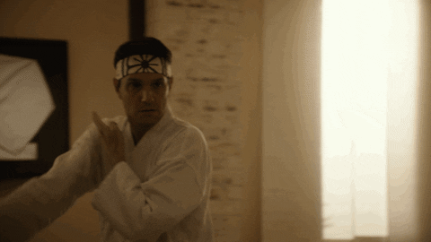 Youtube Netflix GIF by Cobra Kai