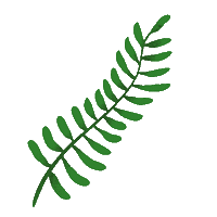 Flower Leaf Sticker by TOrZoNBorZ