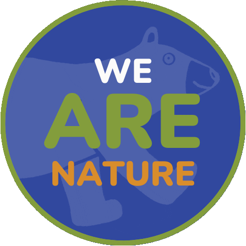 Wildbearnaturecenter giphyupload Sticker