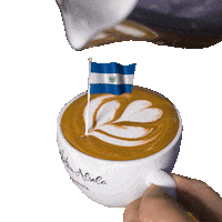 El Salvador Barista Sticker by Dritan Alsela Coffee