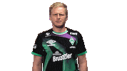 Fifa Easports Sticker by SV Werder Bremen