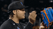 Major League Baseball Applause GIF by MLB