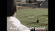 football night friday amazing lights GIF