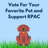 GIF by New Jersey Realtors®