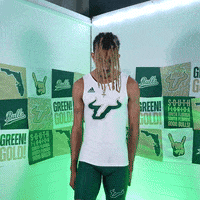 South Florida Horns Up GIF by USF Athletics