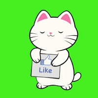 Kitty Subscribe GIF by Silly Kitties