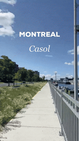 Canada Montreal GIF by Casol