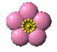 Flower Power Sticker by feeble little horse