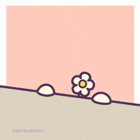 Cat Hello GIF by Castaways