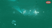 club 69 GIF by Studio Brussel