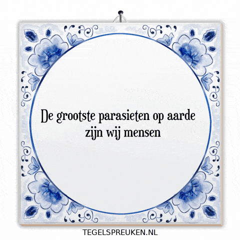 Impact Mens GIF by Tegelspreuken.nl