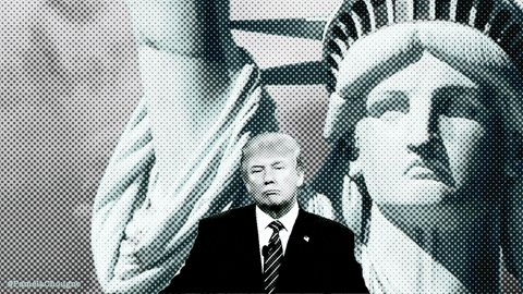 Trump Liberty GIF