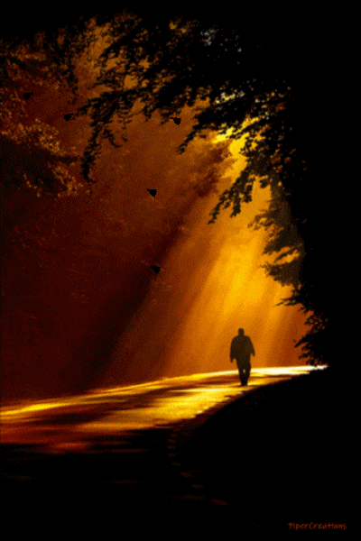 Pipercreations Night Man Walking Alone Silhouette Bats Flying Trees Lightrays Nature GIF by PiperCreations