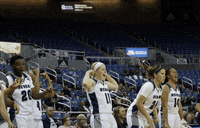 NevadaWolfPack college basketball nevada wolf pack nevada wolf pack GIF