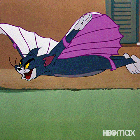 Chasing Tom And Jerry GIF by HBO Max