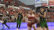 fly flying GIF by ACB