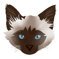 Winking Cat Sticker
