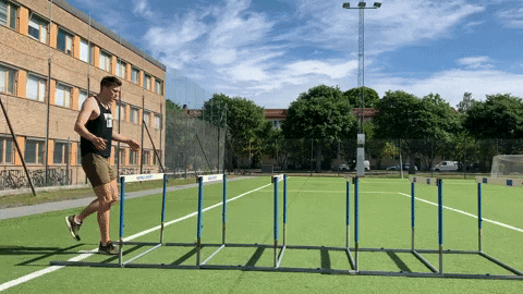 ymr_track_club giphygifmaker ymr track club GIF