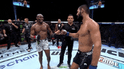 Mixed Martial Arts Sport GIF by UFC
