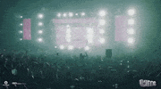 GIF by Disco Donnie Presents