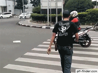 road crossing GIF