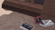 Masaaki Yuasa Animation GIF by All The Anime — Anime Limited