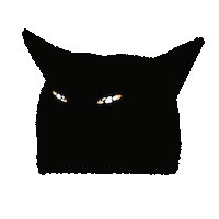 Black Cat Sticker