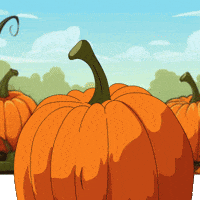 Happy Its Fall GIF by Pudgy Penguins
