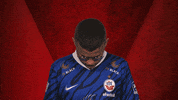 Hansa Rostock Vbl GIF by Bundesliga