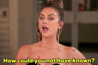 Okay_Decision how could you not have known GIF