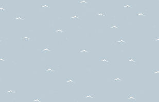 i'm on a boat yacht GIF by Primer