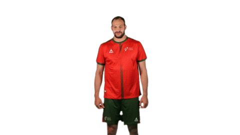 Olympics Sticker by Federação de Andebol de Portugal